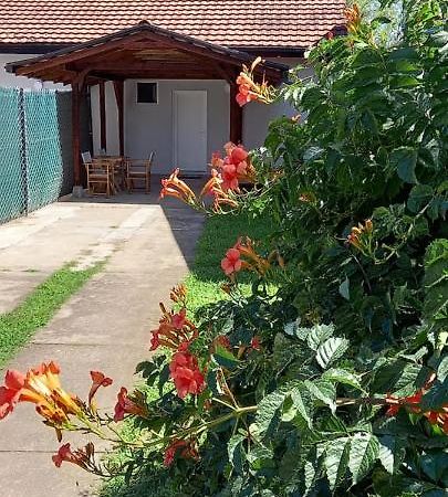Lena! Apartman Kladovo Kültér fotó