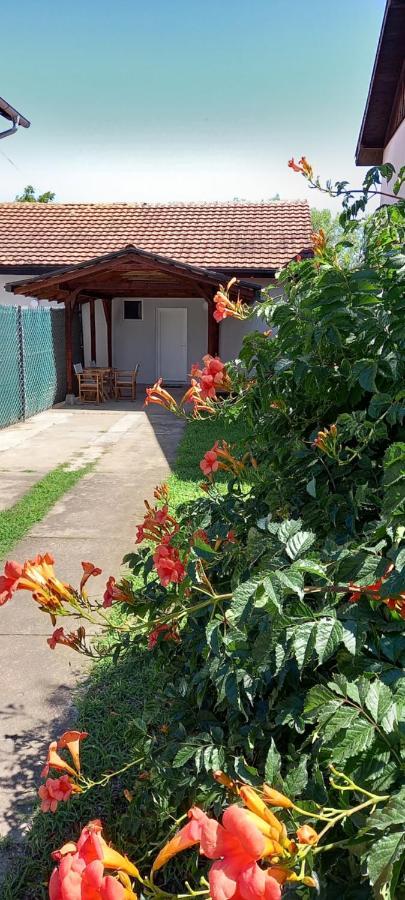 Lena! Apartman Kladovo Kültér fotó